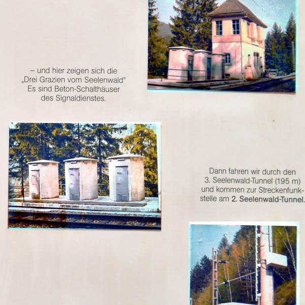 bild-11-seelenwaldE16FCDB3-C368-0C58-EDCF-48C636F463CE.png