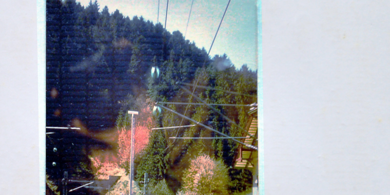 bild-12-triberg9DA41245-B95E-428F-3A00-022C0C8AB49B.png
